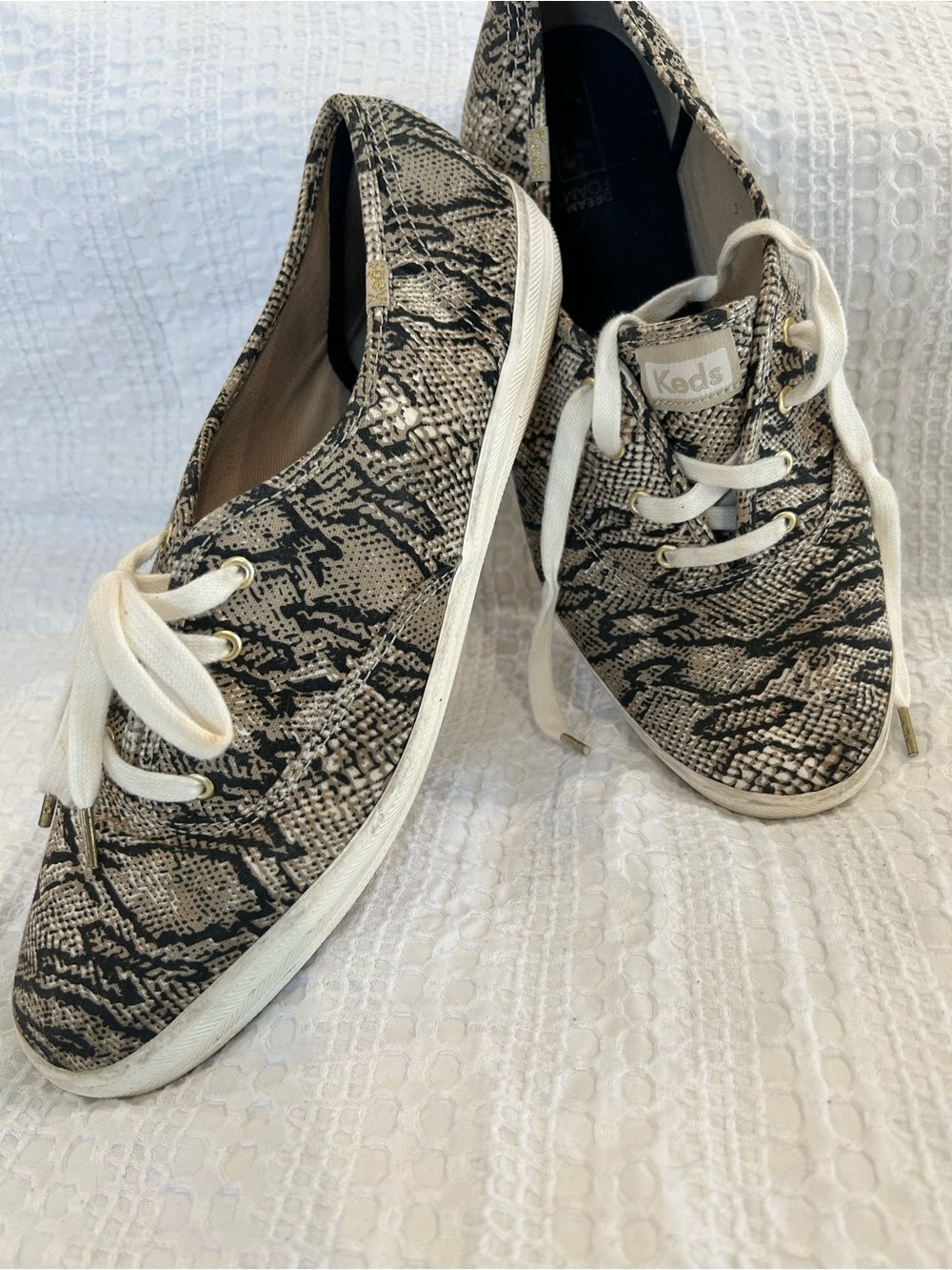 Keds Women's Snake-Print Canvas Sneakers in Black & Cream